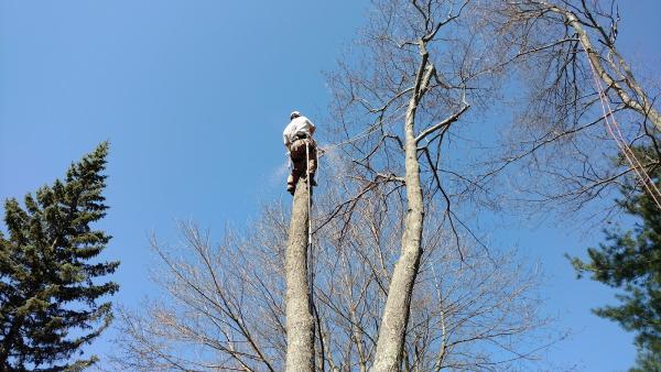 G&C Landscaping