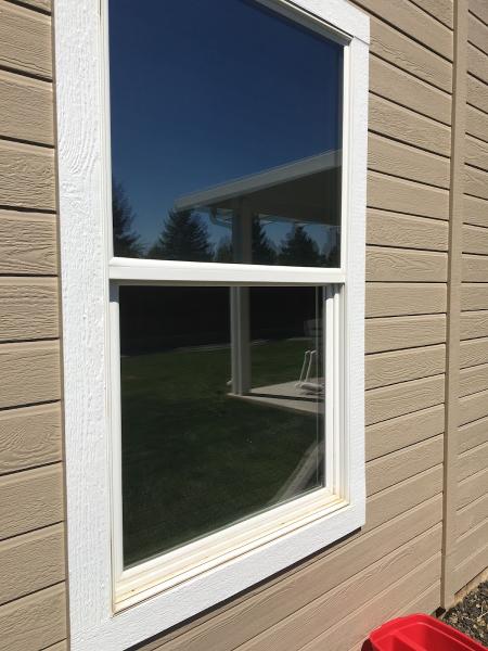 Window Panda