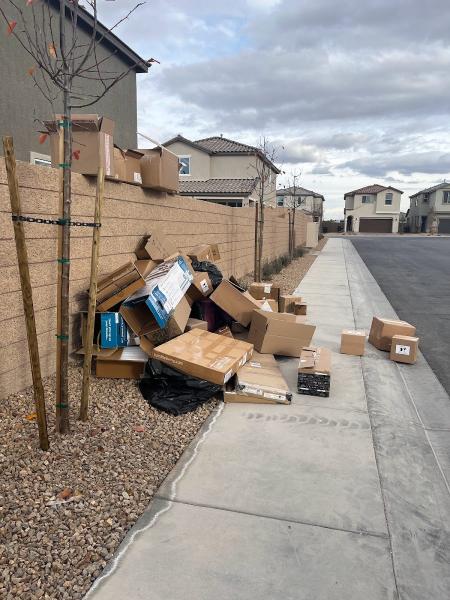 Gone Junkin' Vegas