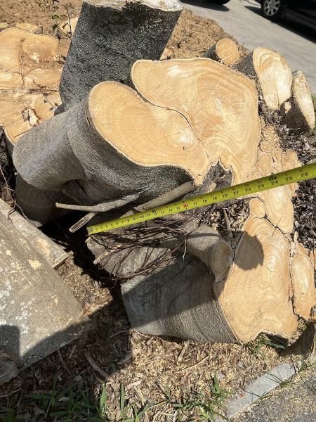 Akryt Tree Service