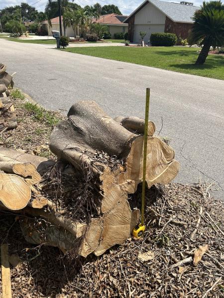 Akryt Tree Service
