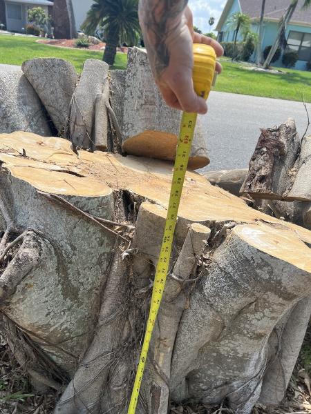 Akryt Tree Service