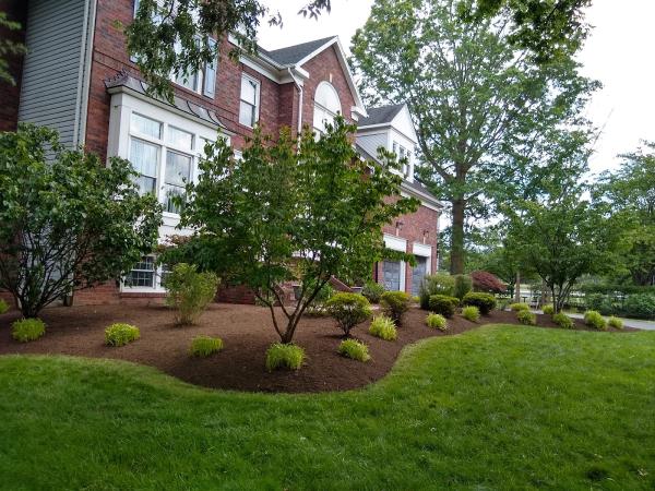 Rodriguez Landscaping Services