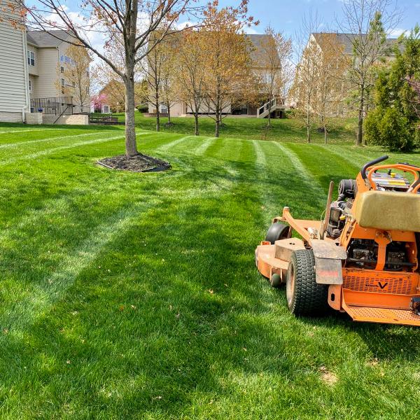 Rodriguez Landscaping Services