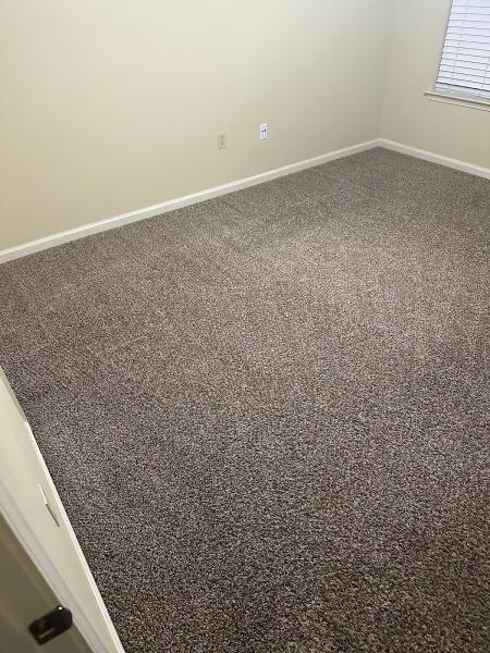Southern Carpet Solutions