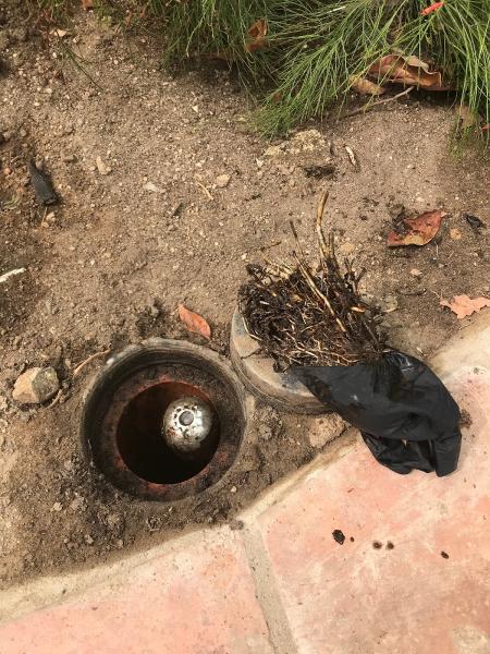 Sand 'n Sea Drain Co.