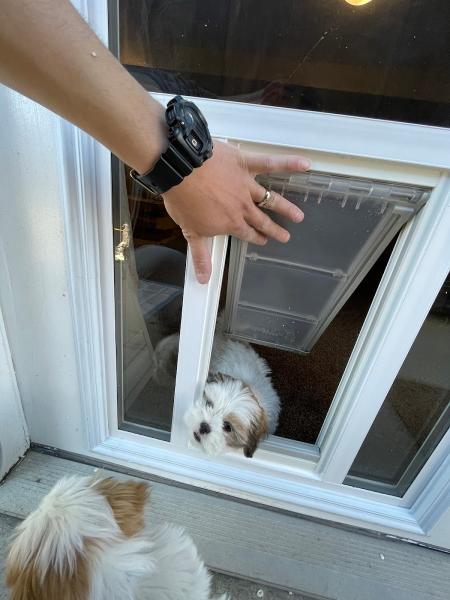Utah Pet Access