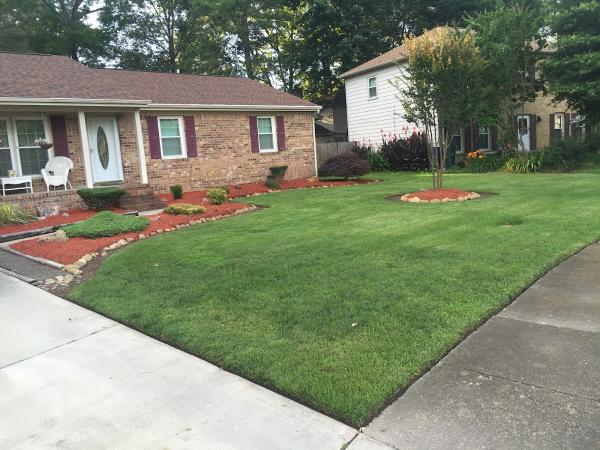 Bluegrass Lawn Care