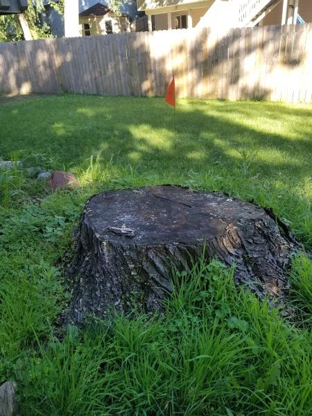 Metro Stump Grinding