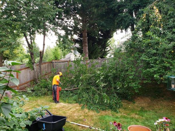 Double D Tree Service