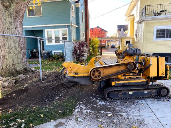 Huck's Stump Grinding