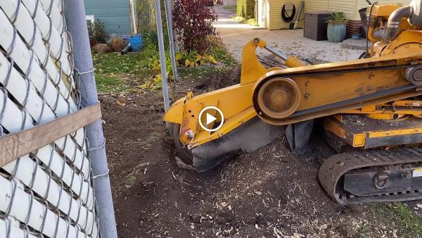 Huck's Stump Grinding