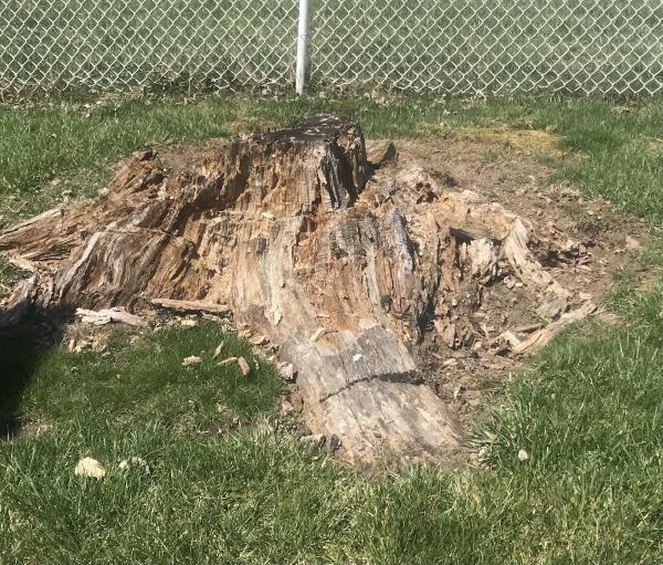 Huck's Stump Grinding