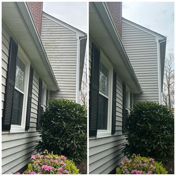 Blue Chip Pressure Washing