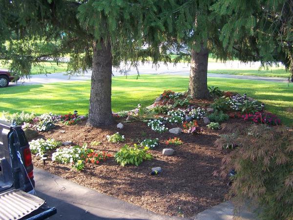 Murphy's Lawn & Landscaping