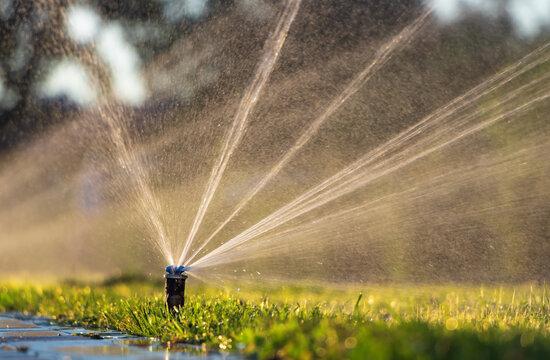Blade Runnerz Irrigation