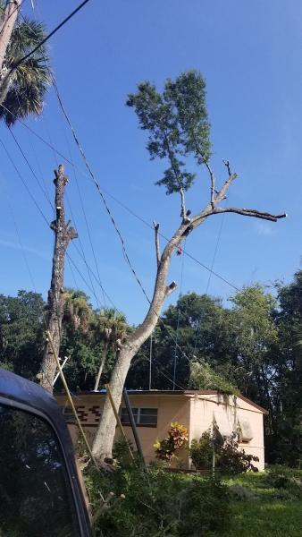 Higher Reach Tree Service