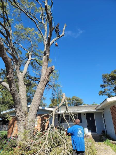Higher Reach Tree Service