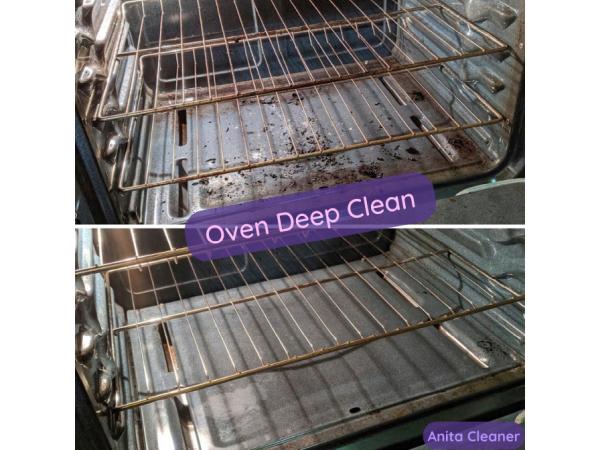 Anita Cleaner LLC