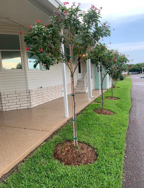 Tampa Environmental Solutions Residential Landscaping