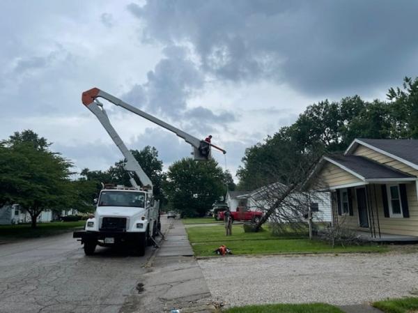 Murfreesboro TN Tree Service