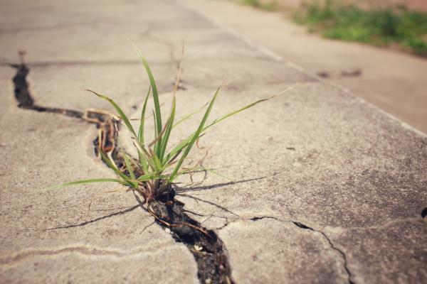 Driveway Sealcoating Services