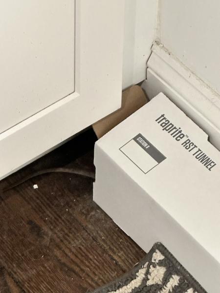 Eco Tech Pest Control