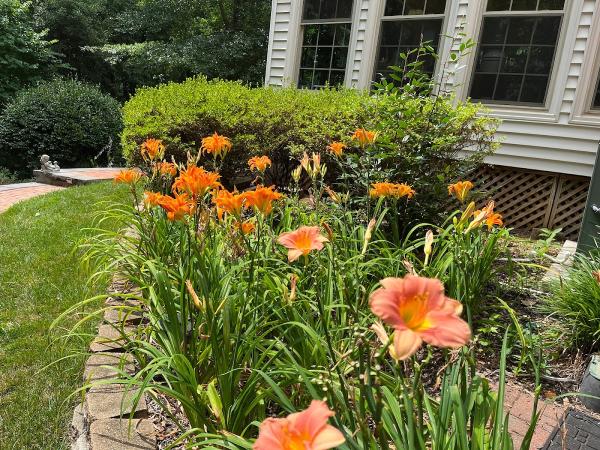 Nafziger Residential Landscapes