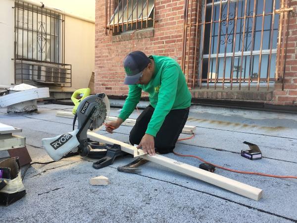 Pest Solutions Termite & Pest Control