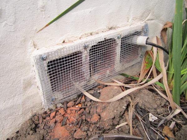 Pest Solutions Termite & Pest Control