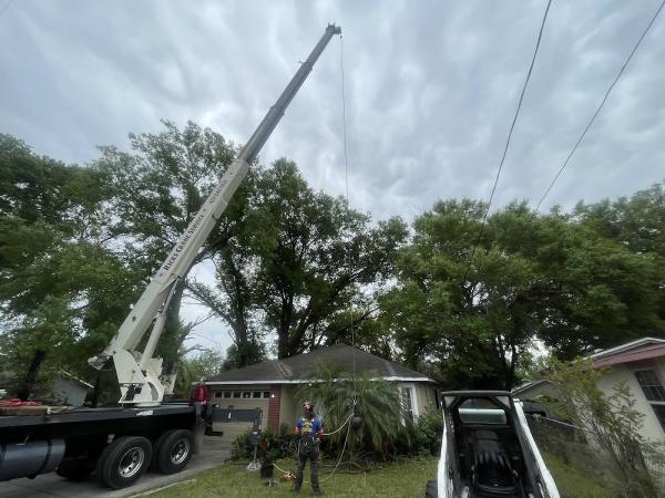 New Image Tree Services LLC