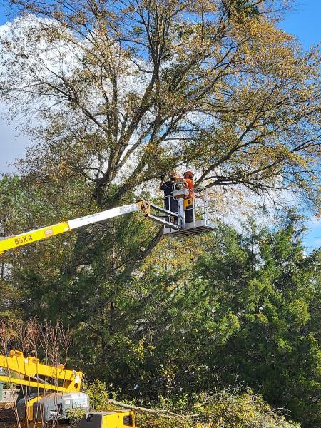 Drop-a-Top Tree Service