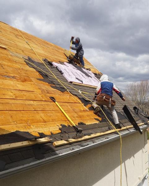 Prostouch Roofing