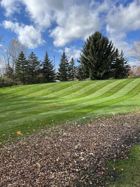 Maggs Lawn & Landscape LLC