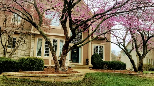 Gordon's Lawn & Landscape