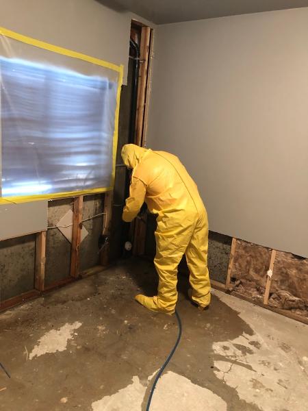 Delta Restoration Services