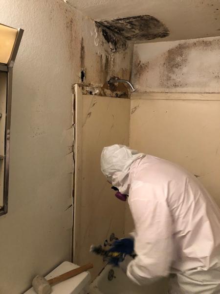 Delta Restoration Services