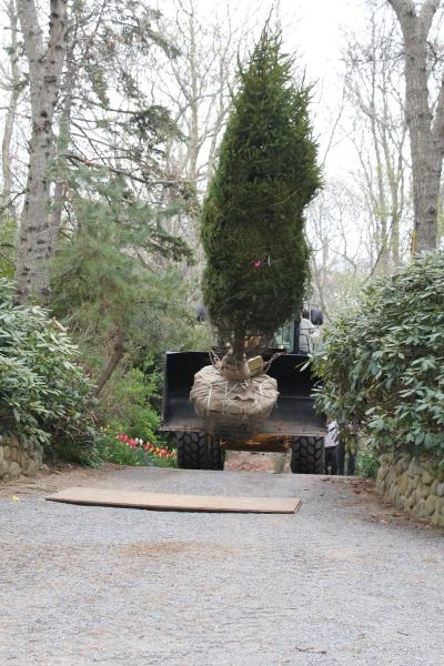 Wonderland Tree Care + Landscapes