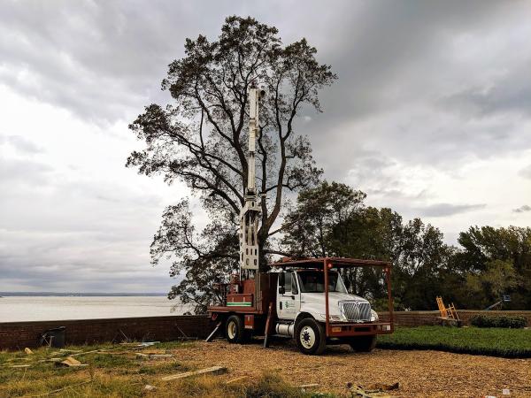 Wonderland Tree Care + Landscapes