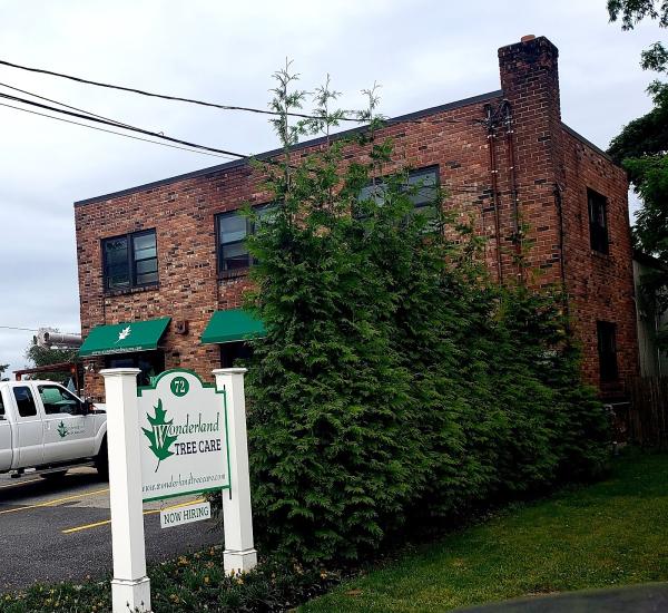 Wonderland Tree Care + Landscapes