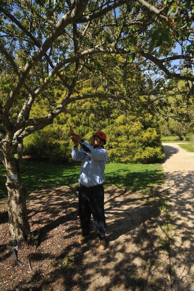 Wonderland Tree Care + Landscapes