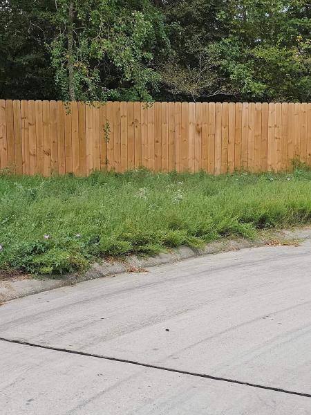 Sagos Landscaping and Maintenance
