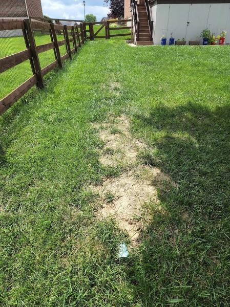 A & A Lawn Care & Landscaping