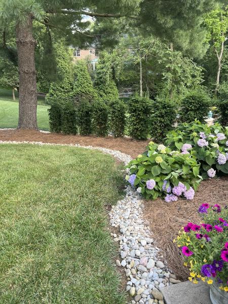 A & A Lawn Care & Landscaping