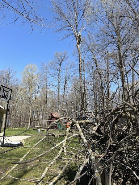 Cut and Leave Tree Service