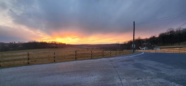 Evergreen Fence