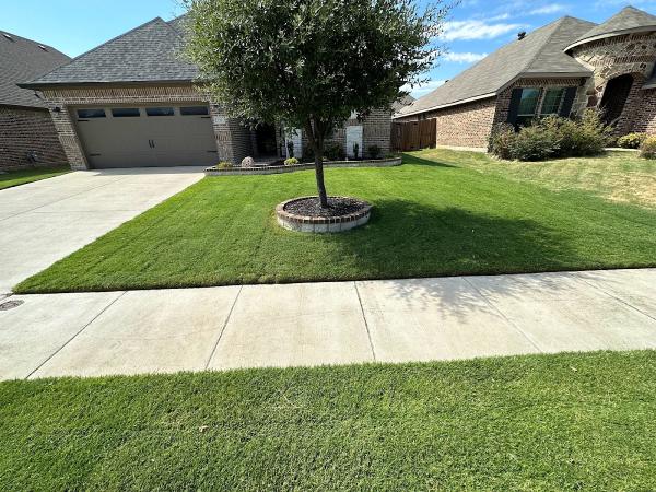 Paz's Cuts & Edges LLC