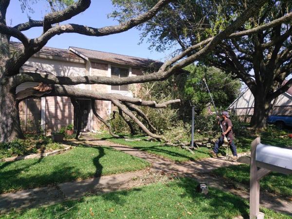 All Points Tree Services