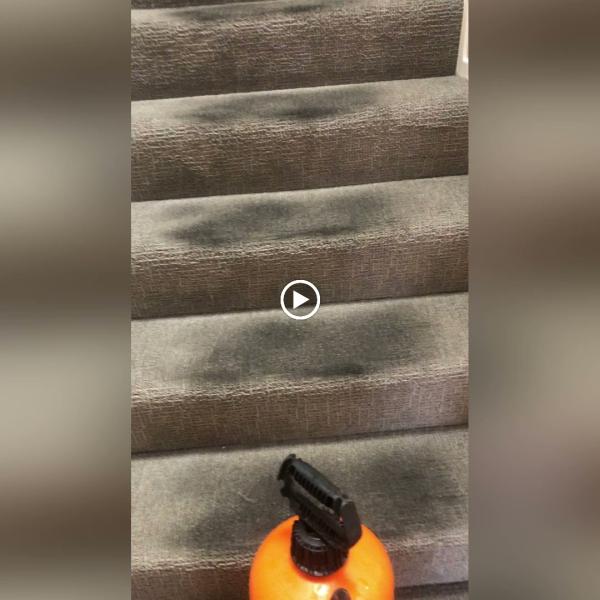 Blue Rooster Carpet Cleaning