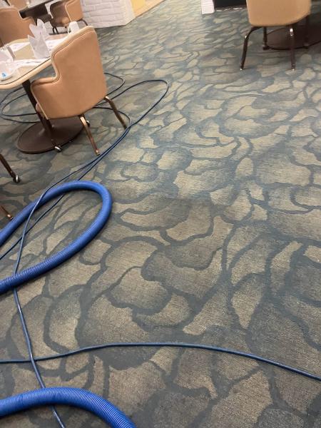 Blue Rooster Carpet Cleaning